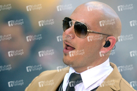 Pitbul
