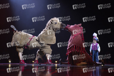 Cirque du Soleil Artisten