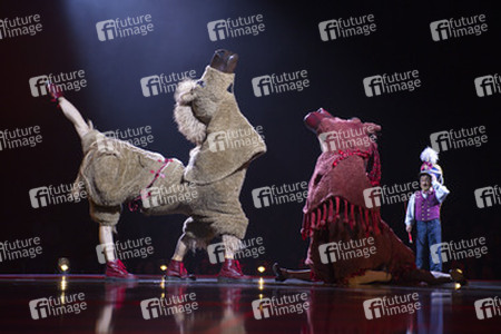 Cirque du Soleil Artisten