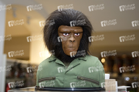 Planet der Affen Büste