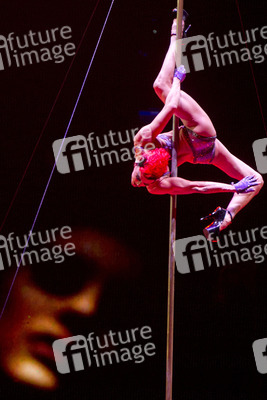 Cirque du Soleil Artisten