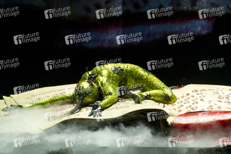 Cirque du Soleil Artisten