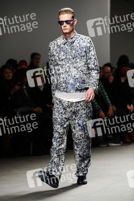 Richard Nicoll Model