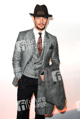 David Gandy
