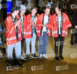 Louis Tomlinson, Zayn Malik, Niall Horan, Liam Payne, Harry Styles (One Direction)