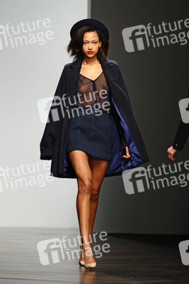 Felder and Felder Model