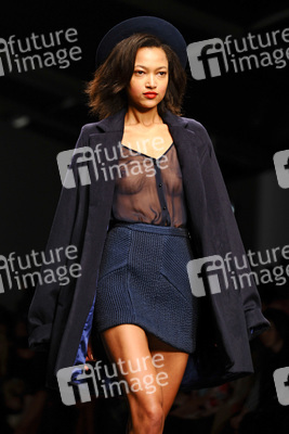 Felder and Felder Model