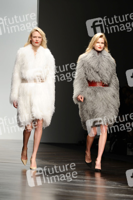 Felder and Felder Models