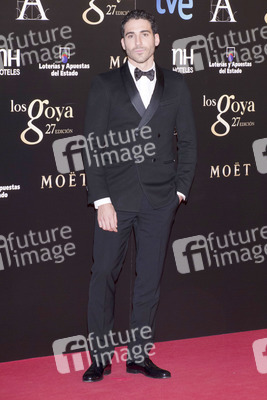 Miguel Ángel Silvestre