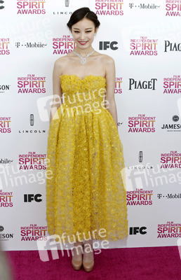 Ziyi Zhang / Zhang Zi-Yi