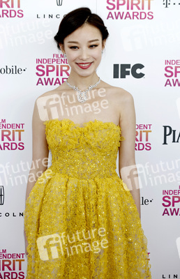 Ziyi Zhang / Zhang Zi-Yi