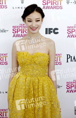 Ziyi Zhang / Zhang Zi-Yi