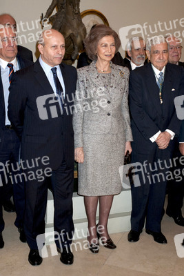 Sophia von Spanien in der Real Academia de Bellas Artes de San Fernando, Madrid