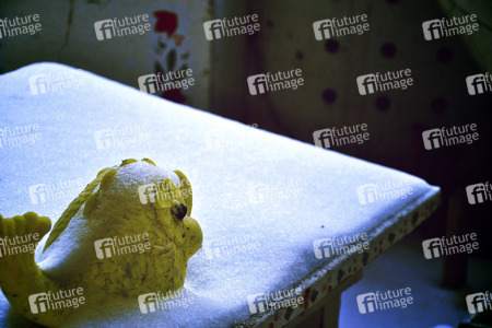 Prypjat nach der Nuklearkatastrophe von Tschernobyl / Pripyat after the Chernobyl Disaster