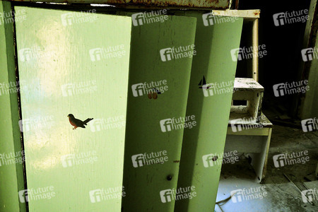 Prypjat nach der Nuklearkatastrophe von Tschernobyl / Pripyat after the Chernobyl Disaster