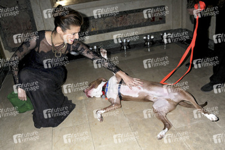 16. ASPCA Bergh Ball, New York