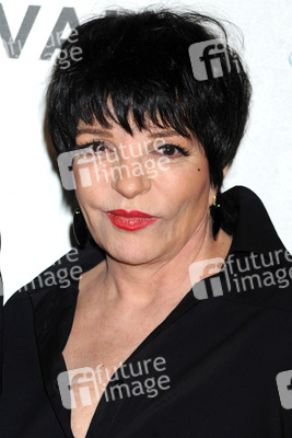 'Mistaken for Strangers' Premiere beim Tribeca Film Festival 2013, New York