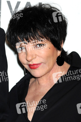 'Mistaken for Strangers' Premiere beim Tribeca Film Festival 2013, New York