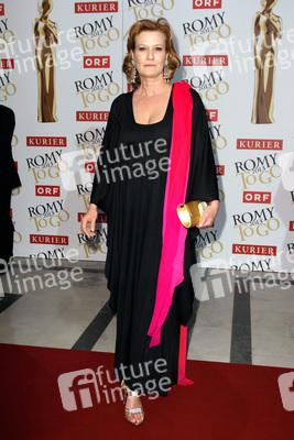 Romy Gala 2013, Wien
