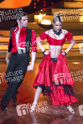 8. Show 'Let's Dance 2013', Köln