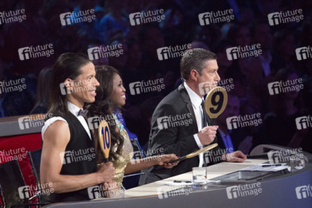 8. Show 'Let's Dance 2013', Köln