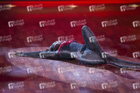 8. Show 'Let's Dance 2013', Köln