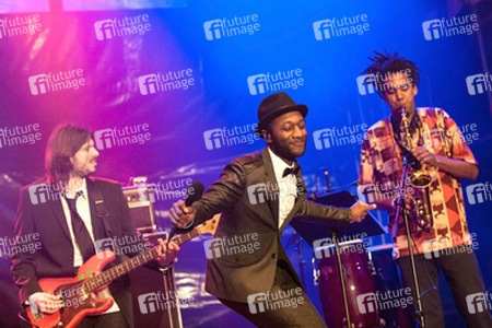 Elbjazz Festival 2013, Hamburg