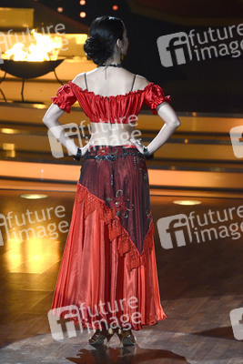 8. Show 'Let's Dance 2013', Köln
