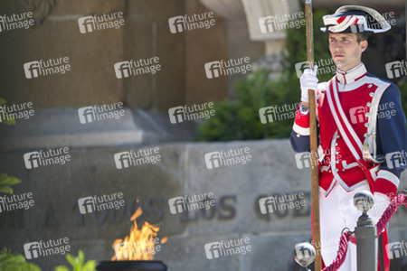 Die königliche spanische Familie beim Armed Forces Day, Madrid