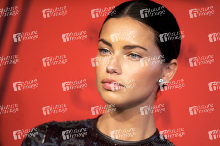 Verleihung der CFDA Fashion Awards 2013, New York