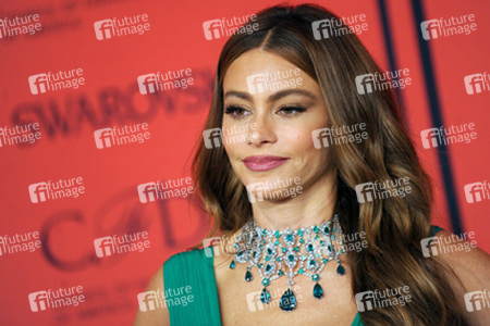 Verleihung der CFDA Fashion Awards 2013, New York