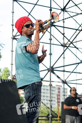 Free Press Summer Festival 2013, Houston