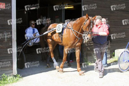 Bild Renntag, Hamburg