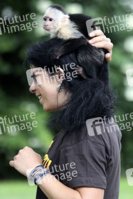 Justin Biebers Affe Mally im Serengeti-Park, Hodenhagen