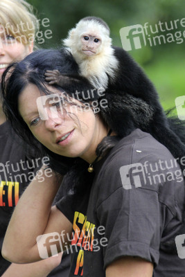 Justin Biebers Affe Mally im Serengeti-Park, Hodenhagen