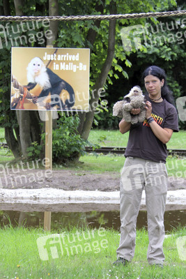 Justin Biebers Affe Mally im Serengeti-Park, Hodenhagen