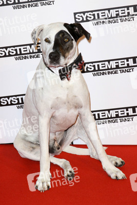 'Systemfehler - wenn Inge tanzt' Premiere, Köln