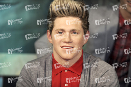 One Direction Wachs Figuren bei Madame Tussauds, New York