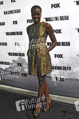 'Walking Dead' Pressekonferenz, San Diego Comic Con