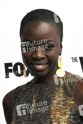 'Walking Dead' Pressekonferenz, San Diego Comic Con