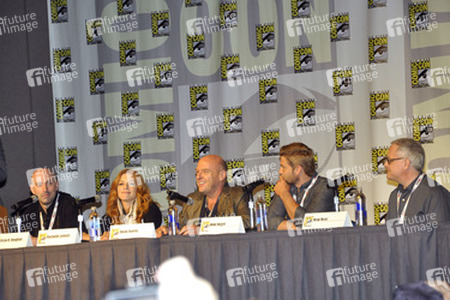 'Under the Dome' Panel, San Diego Comic Con
