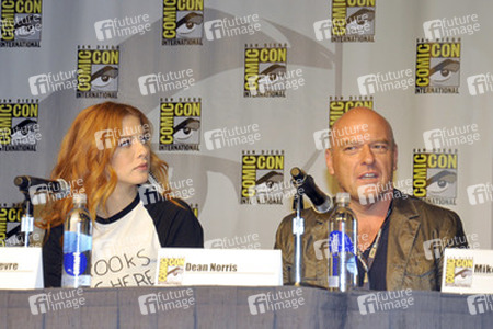 'Under the Dome' Panel, San Diego Comic Con