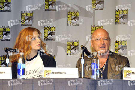 'Under the Dome' Panel, San Diego Comic Con