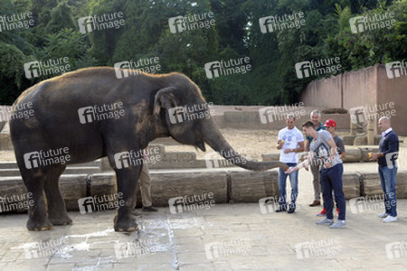Hannover 96 Spieler im Zoo, Hannover