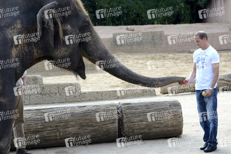 Hannover 96 Spieler im Zoo, Hannover