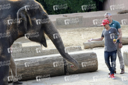 Hannover 96 Spieler im Zoo, Hannover
