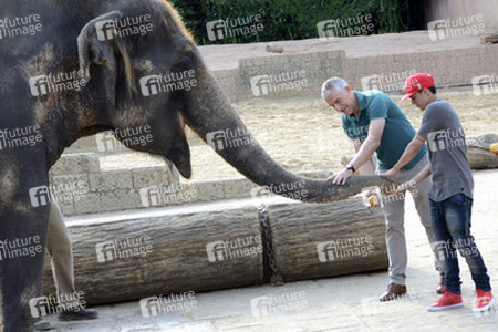 Hannover 96 Spieler im Zoo, Hannover