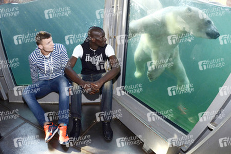 Hannover 96 Spieler im Zoo, Hannover