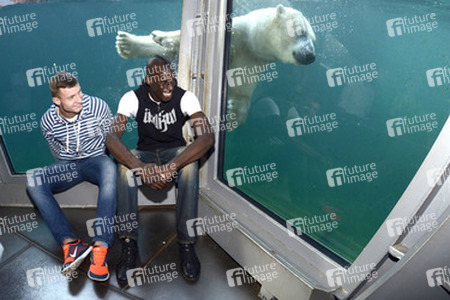 Hannover 96 Spieler im Zoo, Hannover