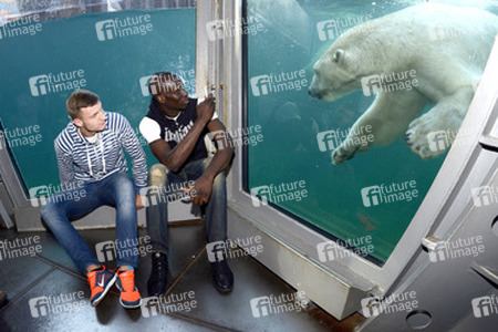 Hannover 96 Spieler im Zoo, Hannover